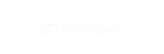 tantindigital.com